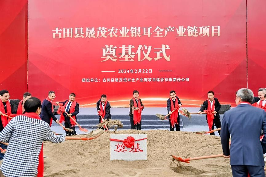 古田县晟茂农业银耳全产业链项目奠基，将建成全球最大的银耳全产业链项目