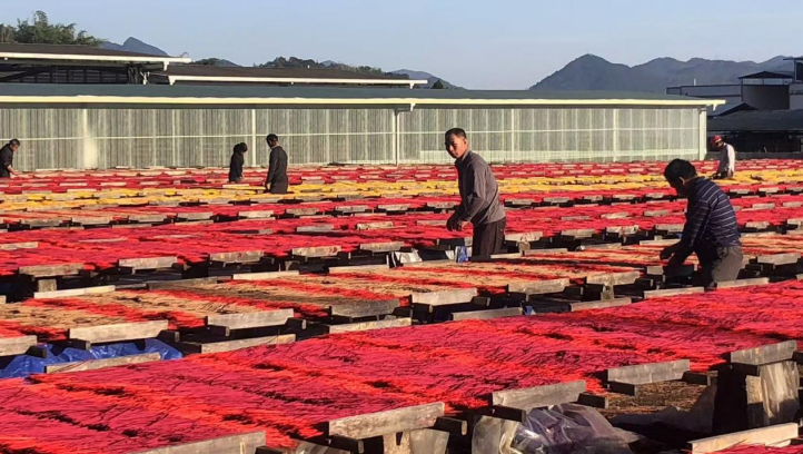 太绝，这些非遗工坊藏不住了